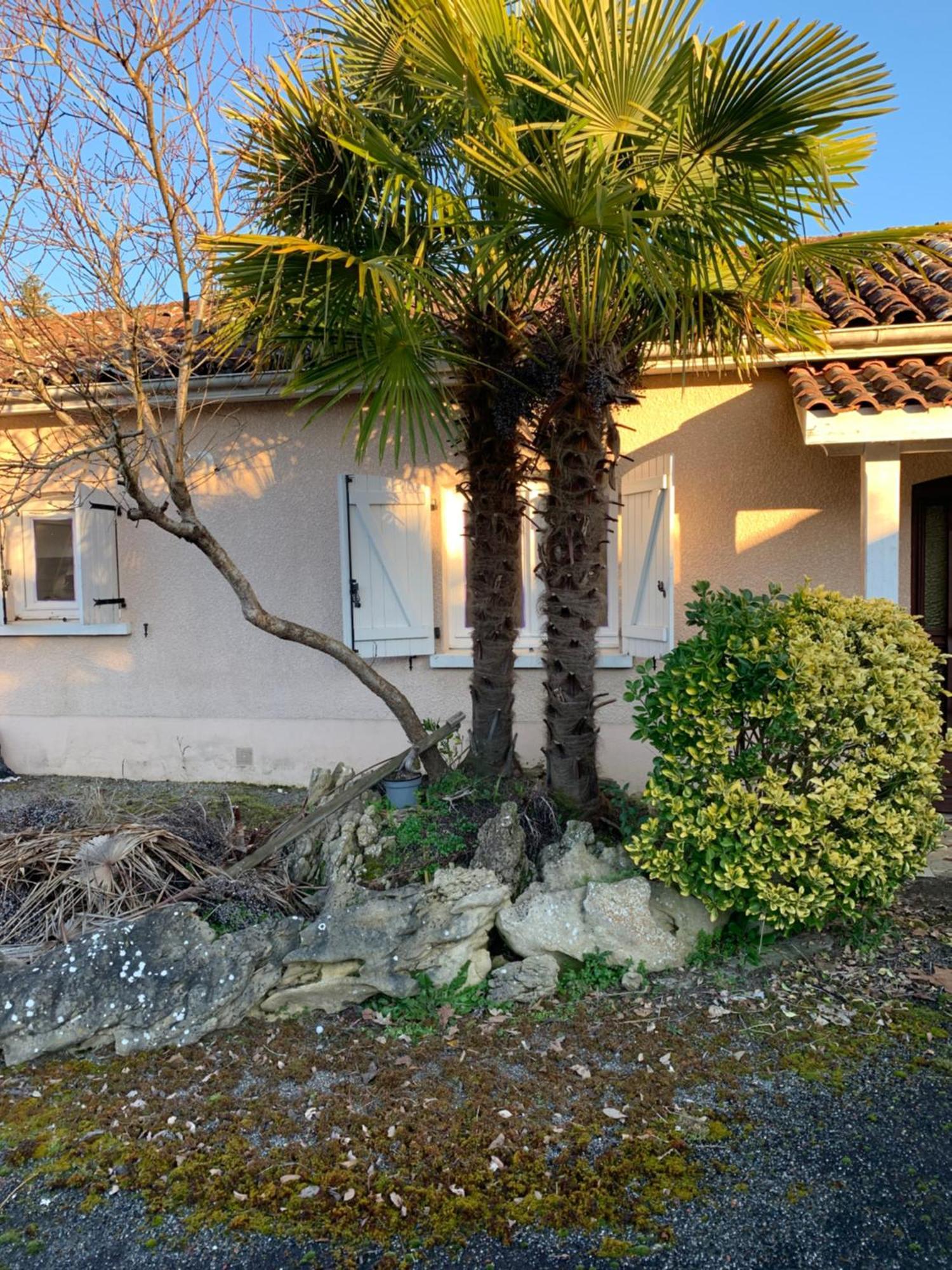 Petite Maison Dans Un Village Du Gers Sabazan エクステリア 写真
